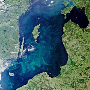 This Envisat image captures blue-green algae blooms filling the Baltic Sea. Detecting these tiny organisms from space requires dedicated 'ocean colour' sensors. Courtesy of ESA, CC BY-SA 3.0 IGO.